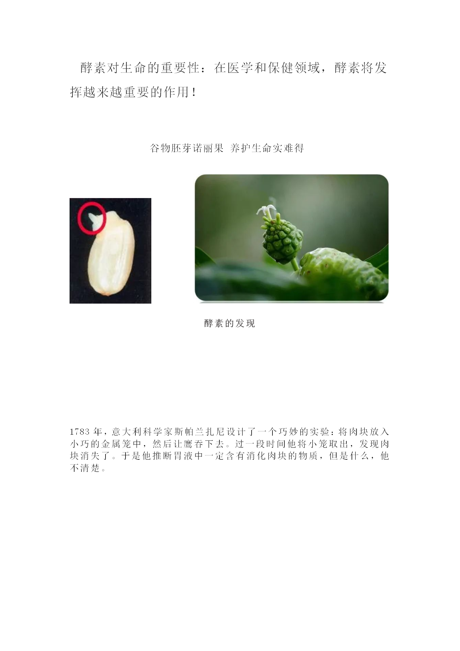 酵素对生命的重要性：在医学和保健领域，酵素将发挥越来越重要的作用！