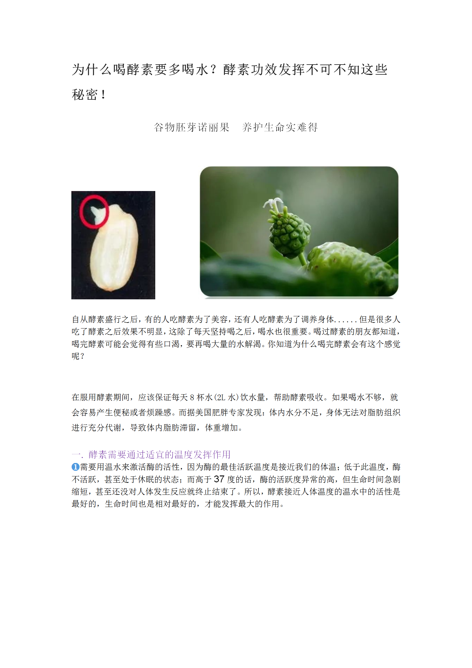 为什么喝酵素要多喝水？酵素功效发挥不可不知这些秘密！