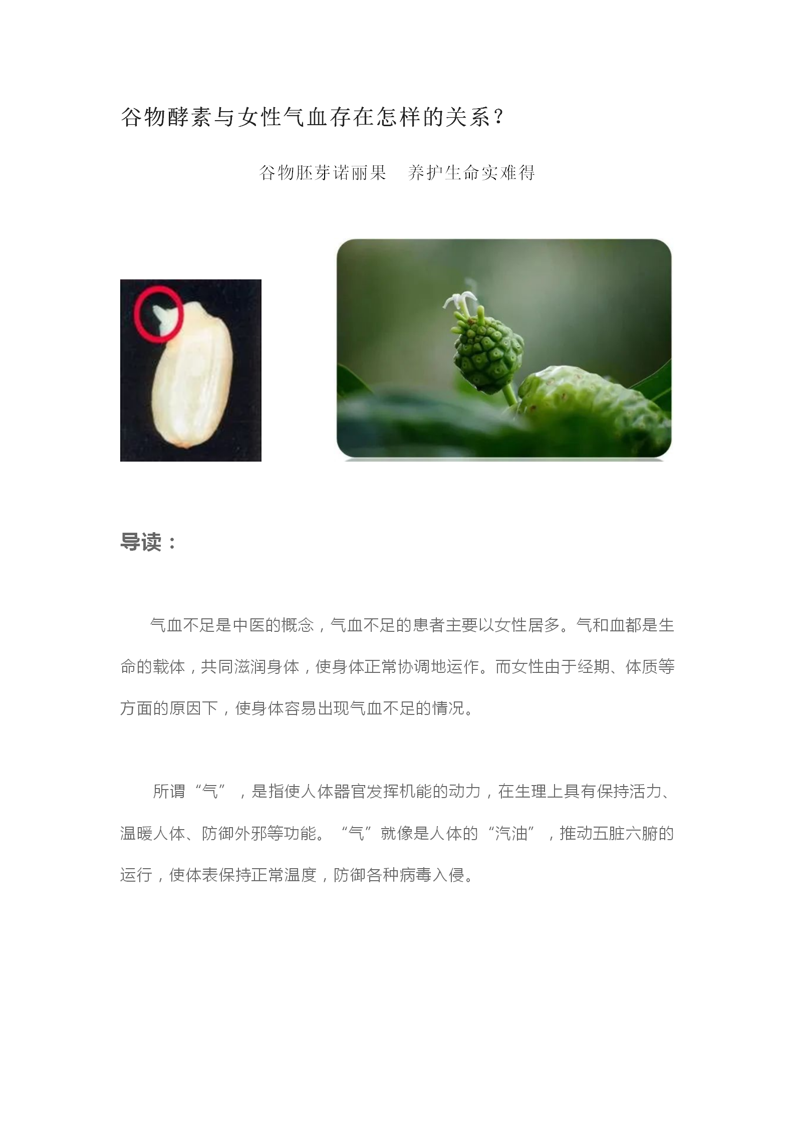 谷物酵素与女性气血存在怎样的关系？