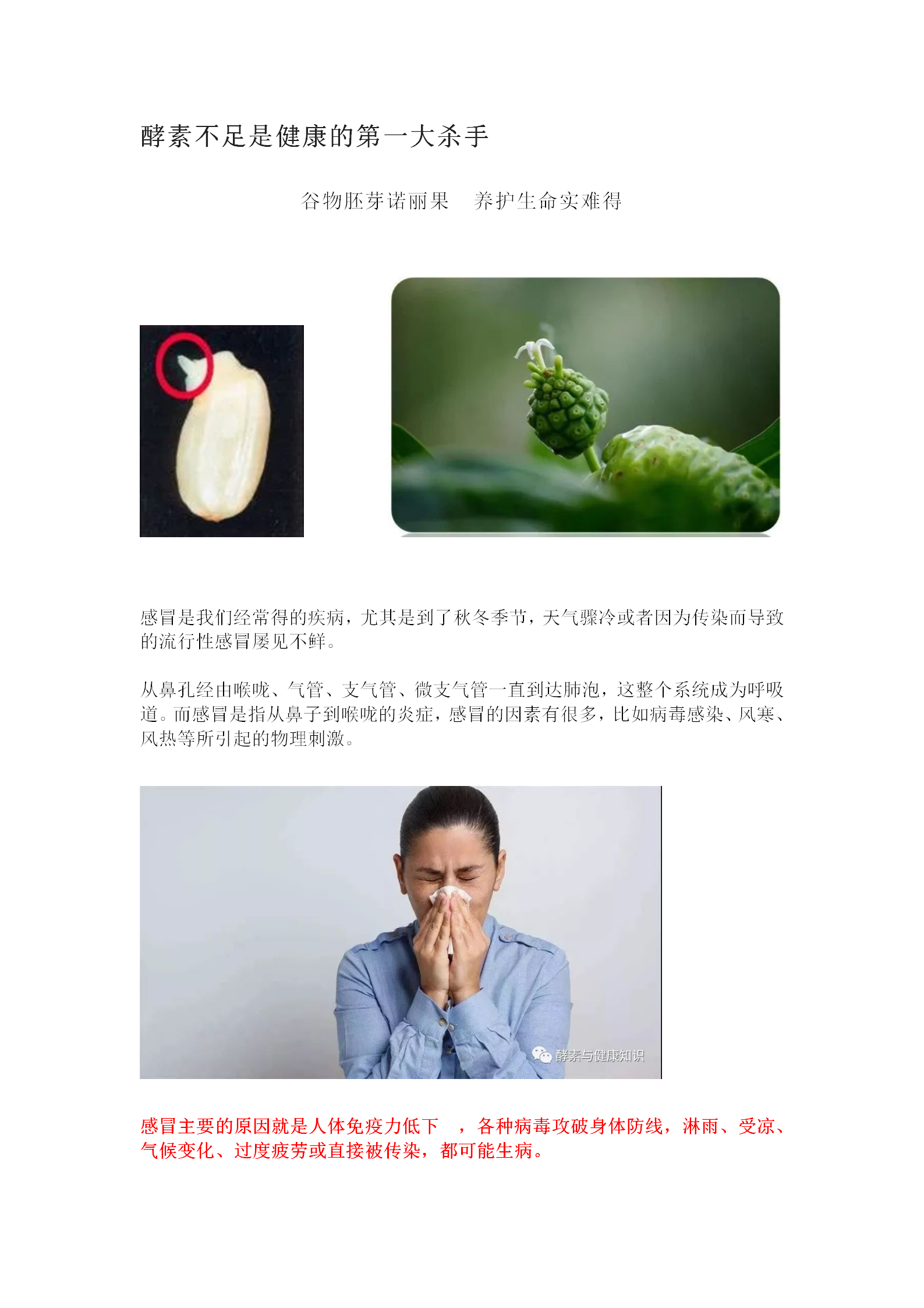 酵素不足是健康的第一大杀手