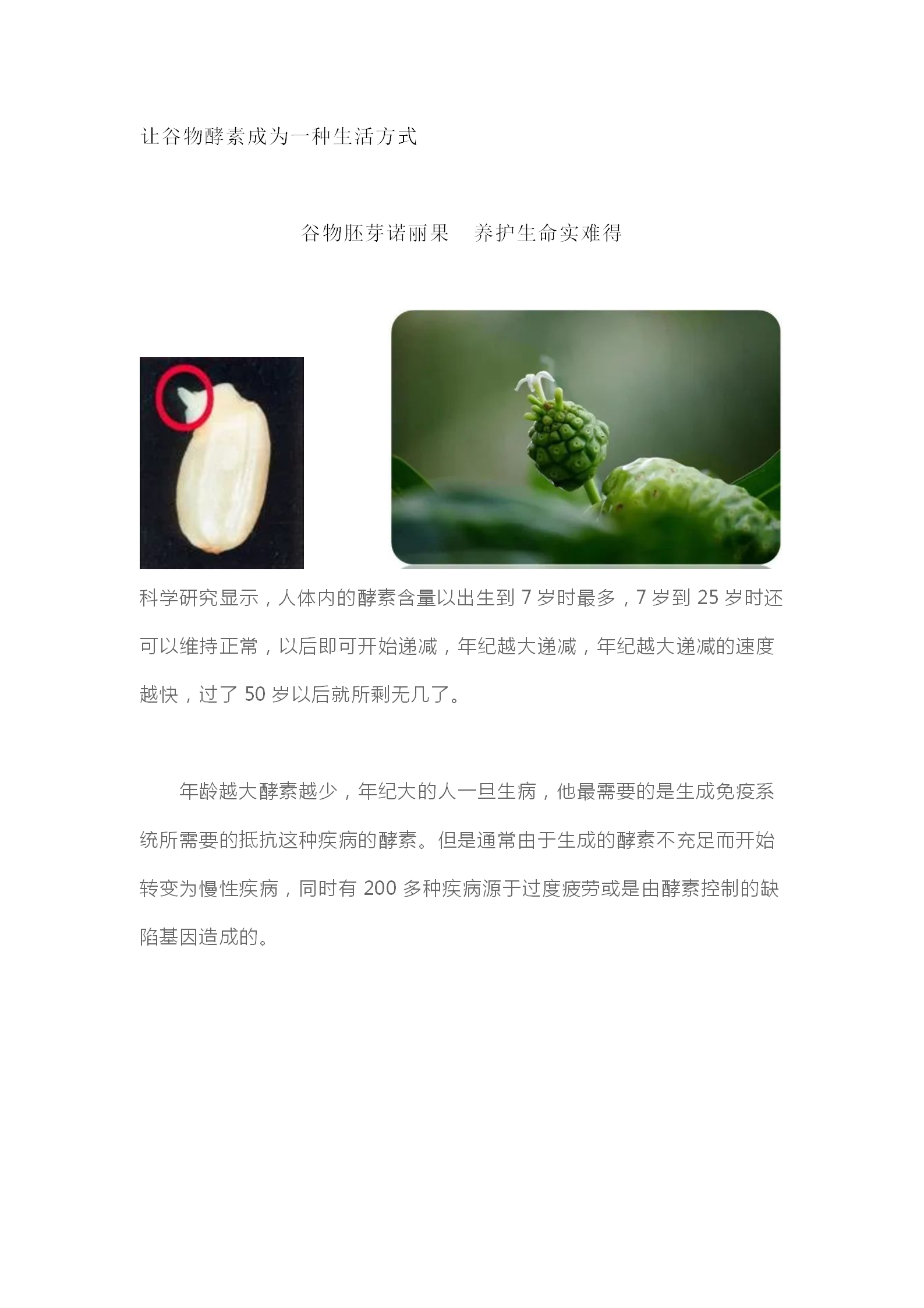 让谷物酵素成为一种生活方式