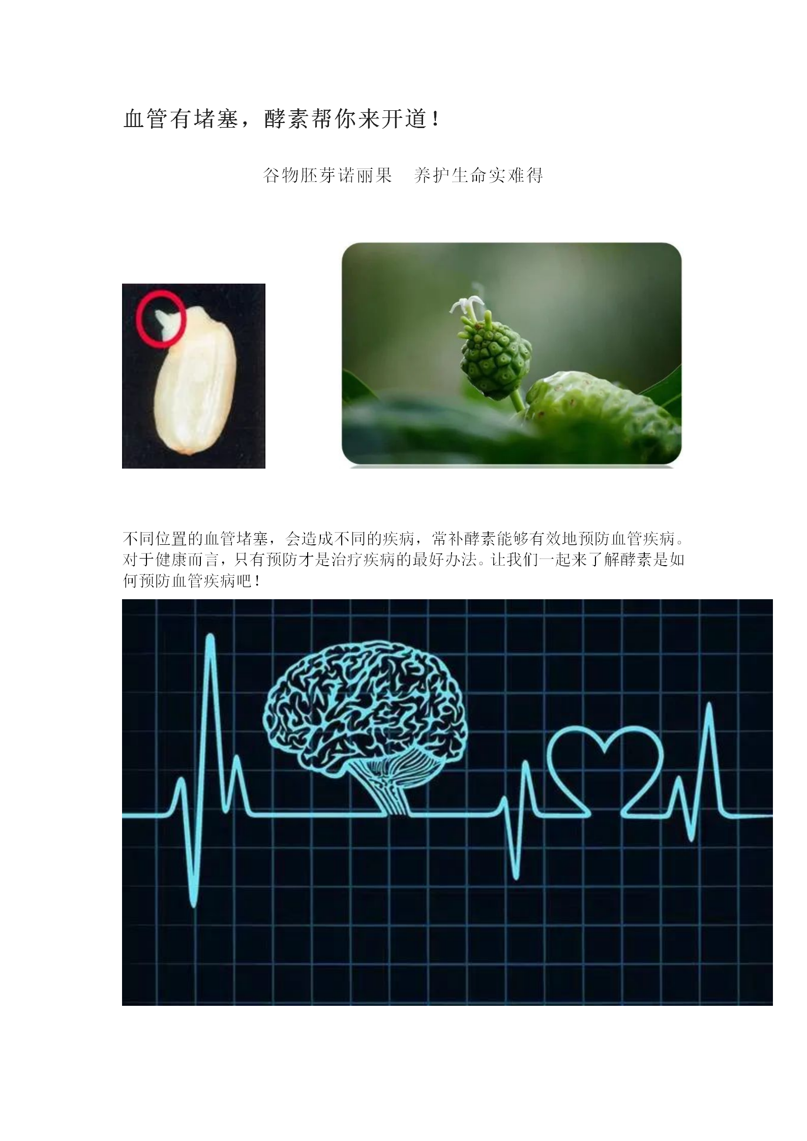 血管有堵塞，小酵官帮你来开道！