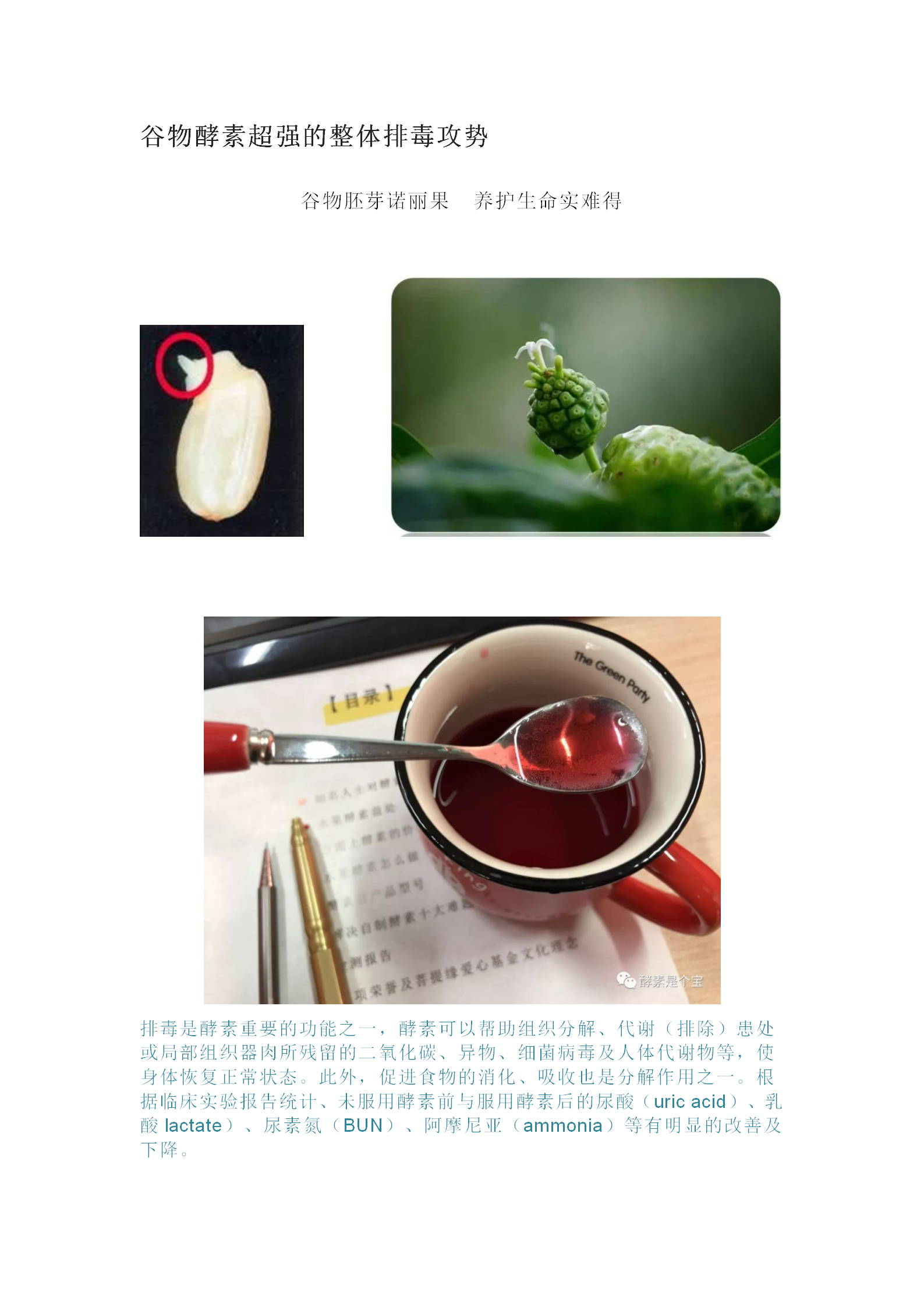 谷物酵素超强的整体排毒攻势