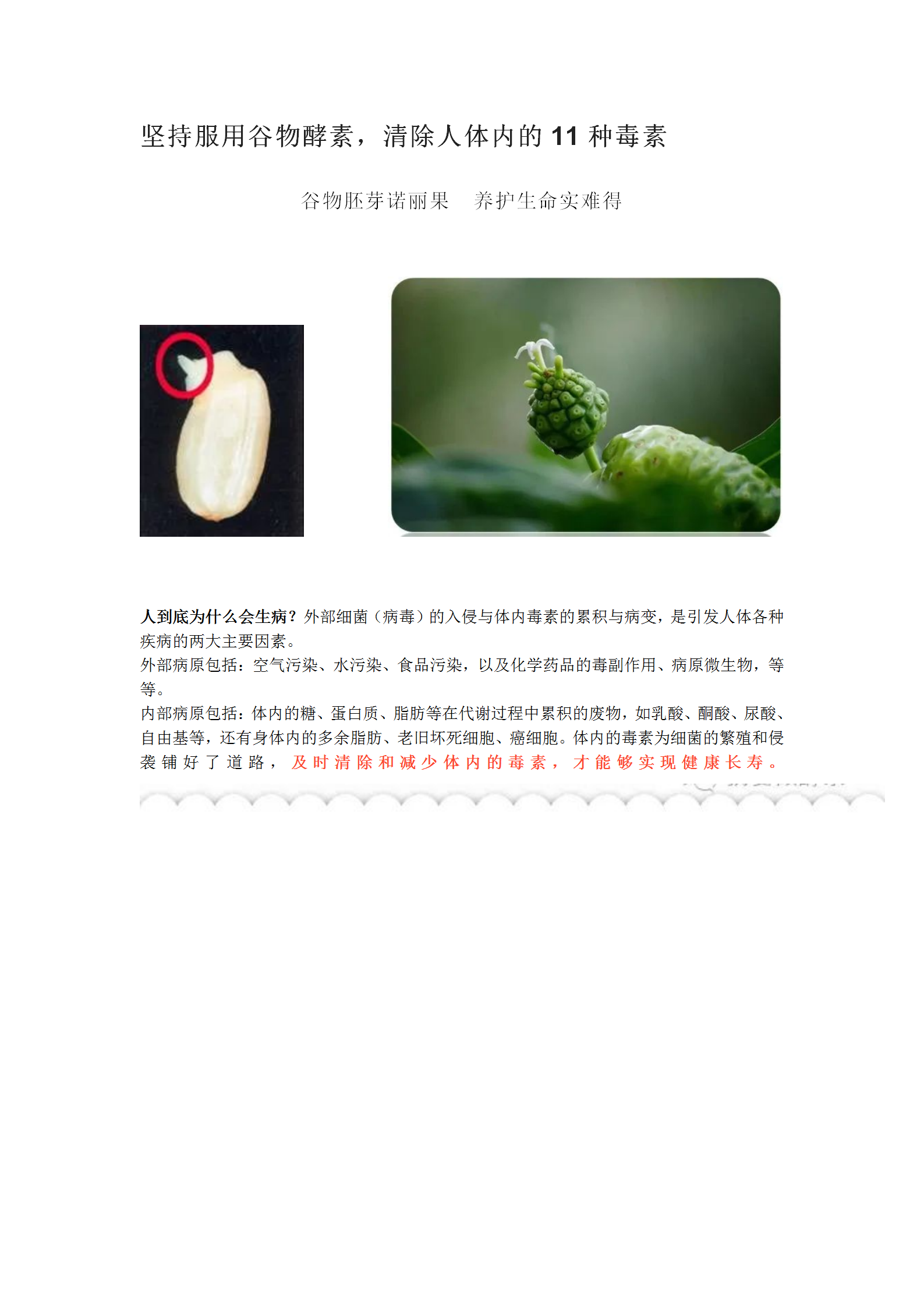 坚持服用谷物酵素，清除人体内的11种毒素
