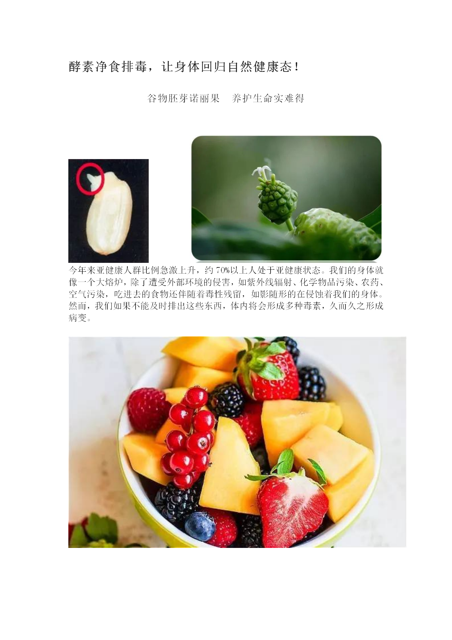 酵素净食排毒，让身体回归自然健康态！