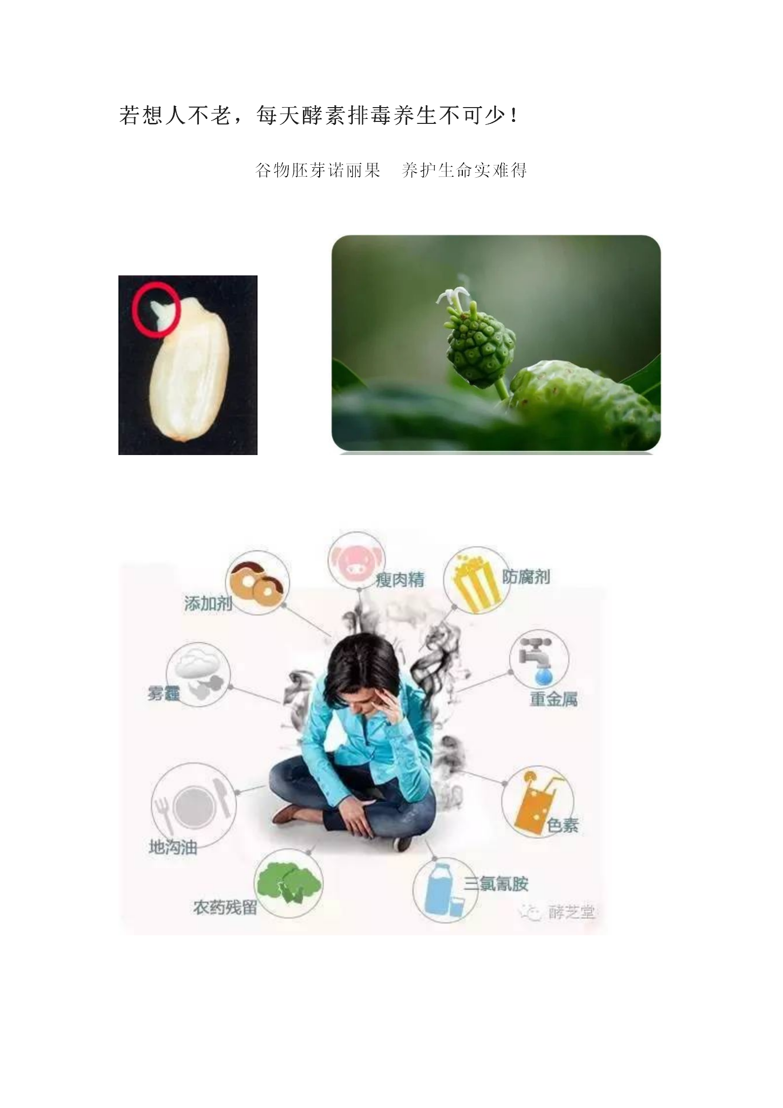 若想人不老，每天酵素排毒养生不可少！