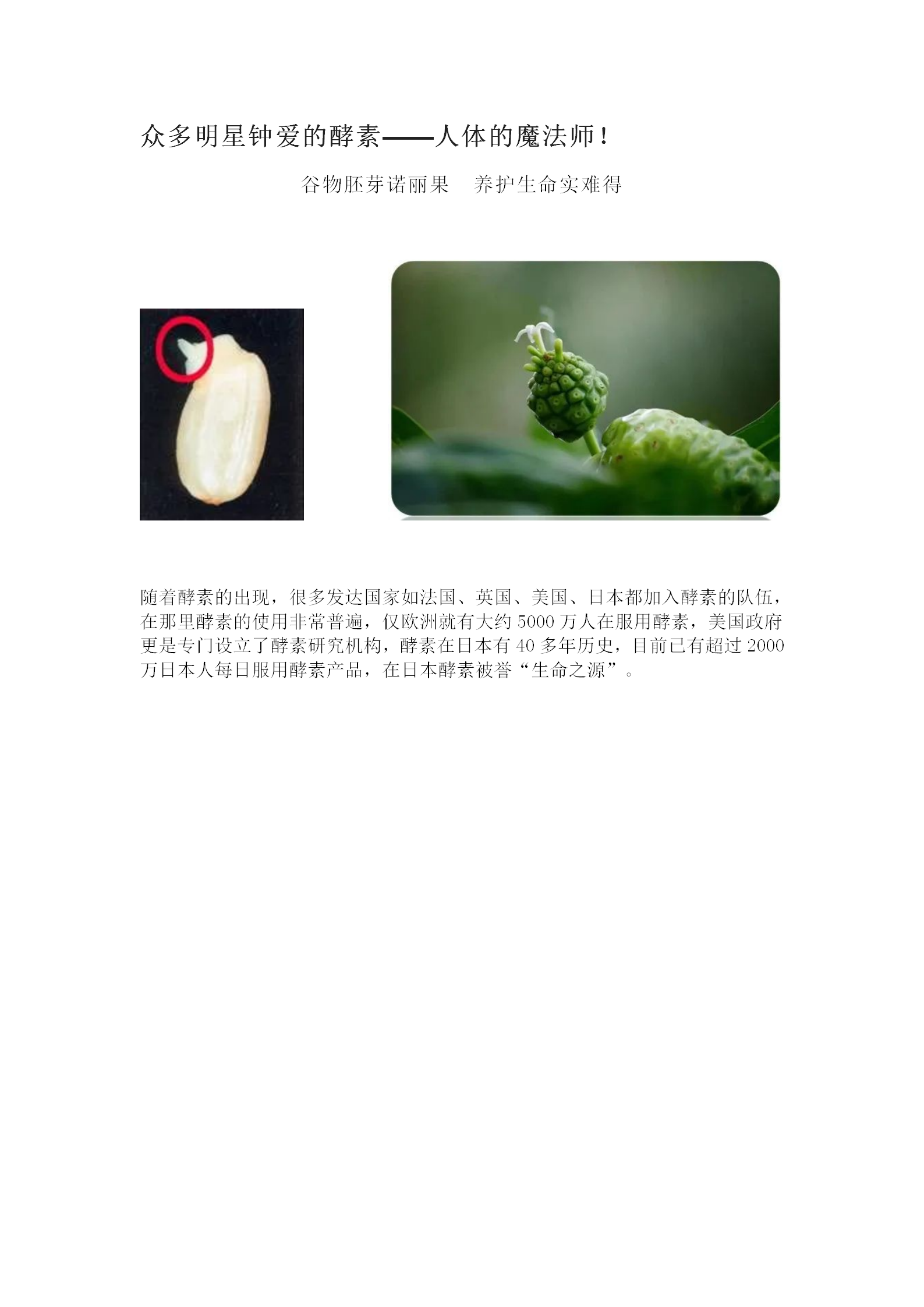 众多明星钟爱的酵素——人体的魔法师！